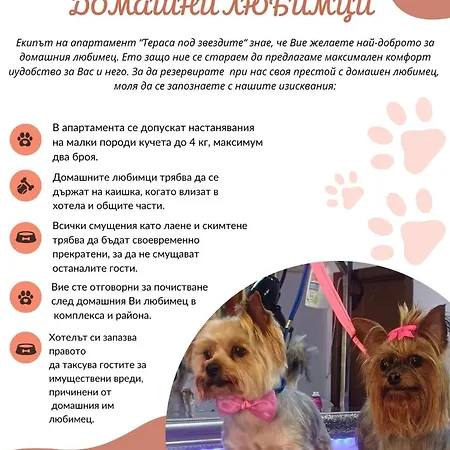 Apartment Terrace Under The Stars *