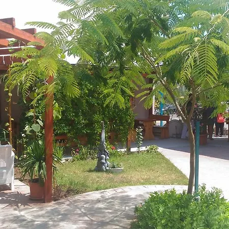 Terrace Under The Stars Primorsko