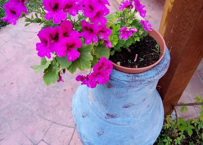 Διαμέρισμα Terrace Under The Stars