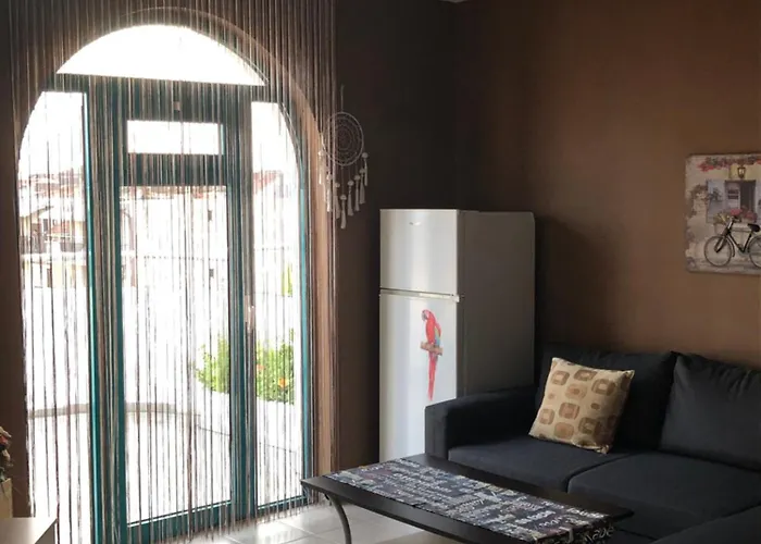 Terrace Under The Stars *