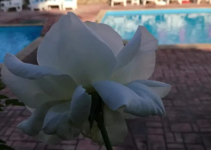 Terrace Under The Stars